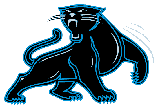 Carolina Panthers 1995-2011 Alternate Logo 01 iron on paper